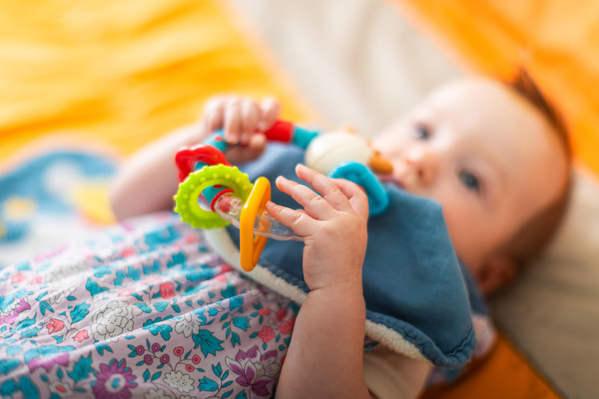 Micro-crêche dans la Vallée Verte